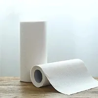 Fourdrinier Tissue Machine