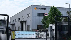 Company Profile